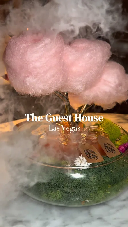 Video at The Guesthouse, Orlando