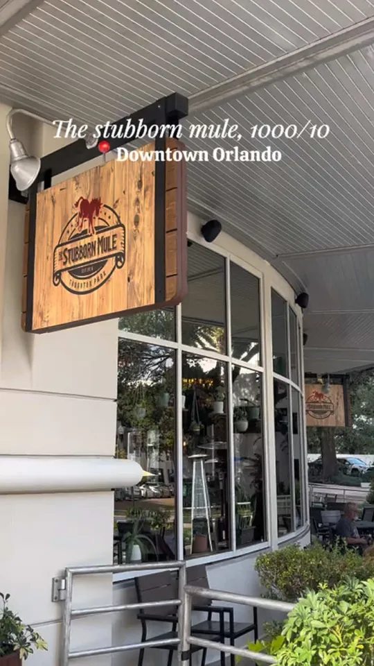 Video at The Stubborn Mule, Orlando