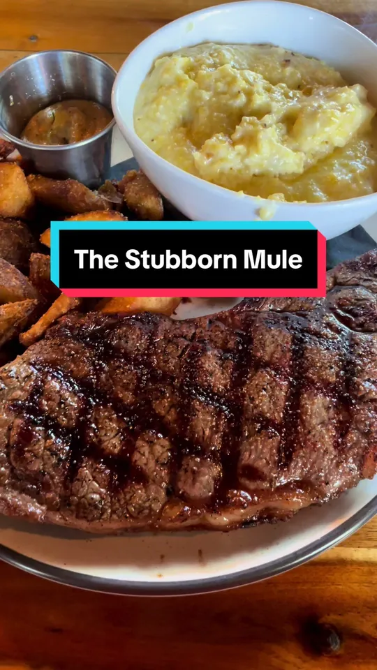 Video at The Stubborn Mule, Orlando