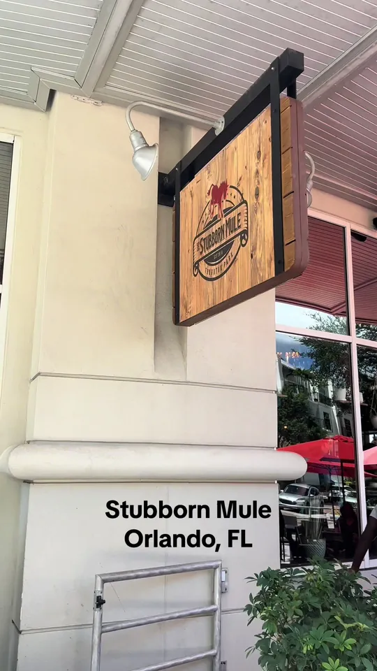 Video at The Stubborn Mule, Orlando