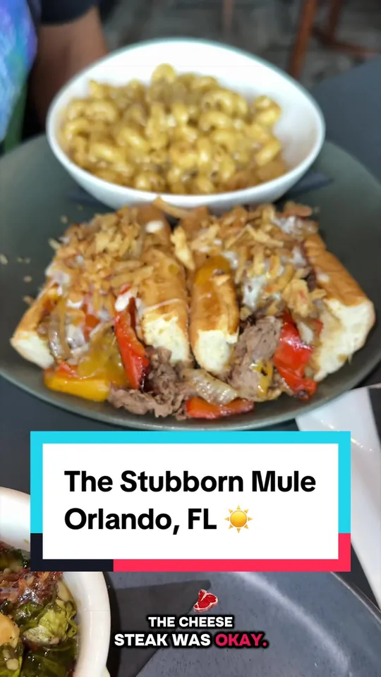 Video at The Stubborn Mule, Orlando