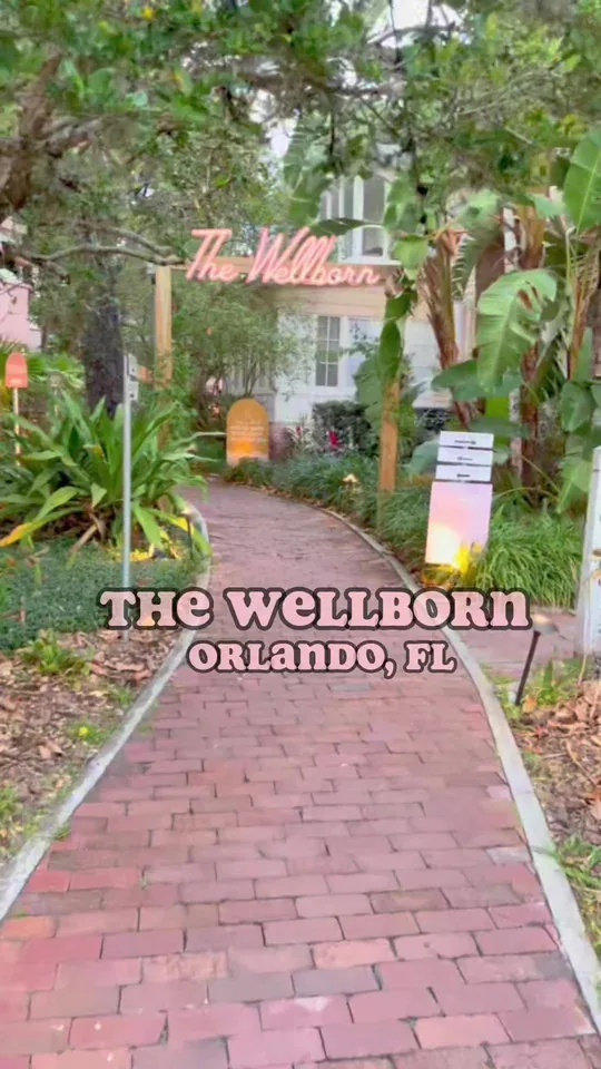 Video at The Wellborn Restaurant & Bar, Orlando
