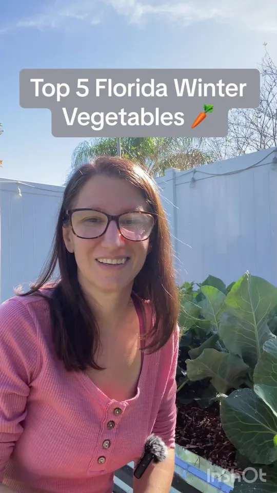 Vegetarian at Veggie Garden, Orlando