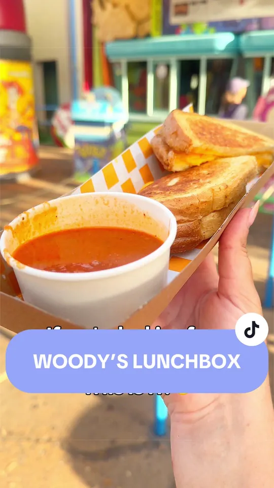 Sandwich at Woody's Lunch Box, Orlando