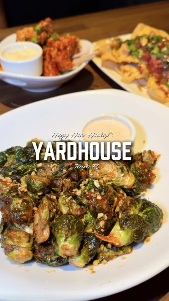 Video at Yard House, Orlando