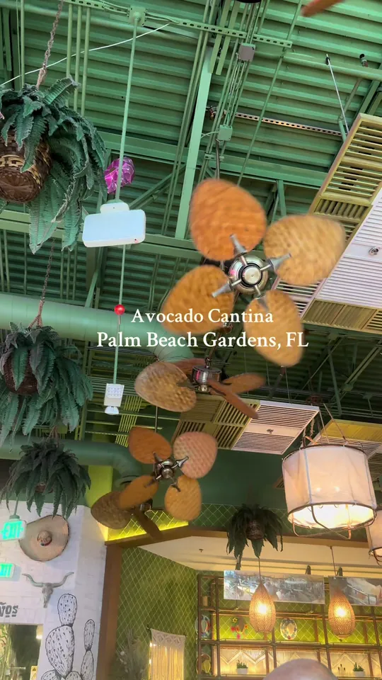 Video at Avocado Cantina, Palm Beach Gardens