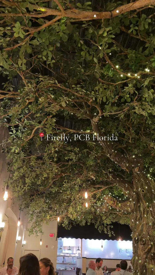 Video at Firefly, Panama City Beach
