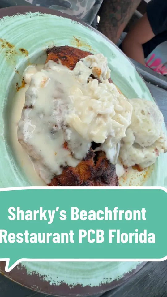 Video at Sharky's Beachfront Restaurant, Panama City Beach