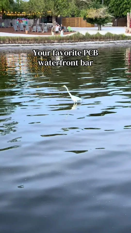 Video at The Dock Pcb, Panama City Beach