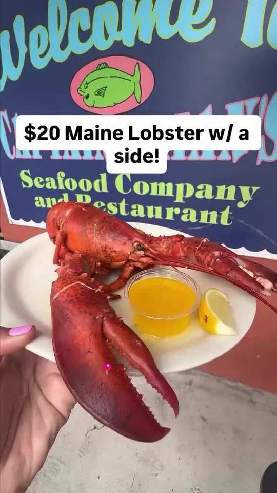 Video at Captain Brian's Seafood Market & Restaurant, Sarasota