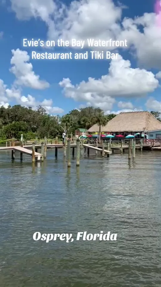 Video at Evie's on the Run, Sarasota