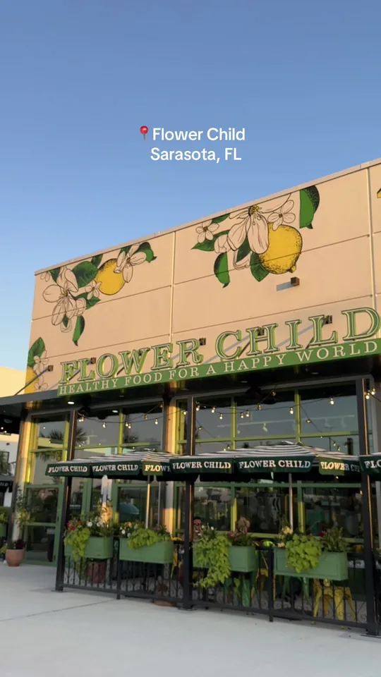 Video at Flower Child, Sarasota