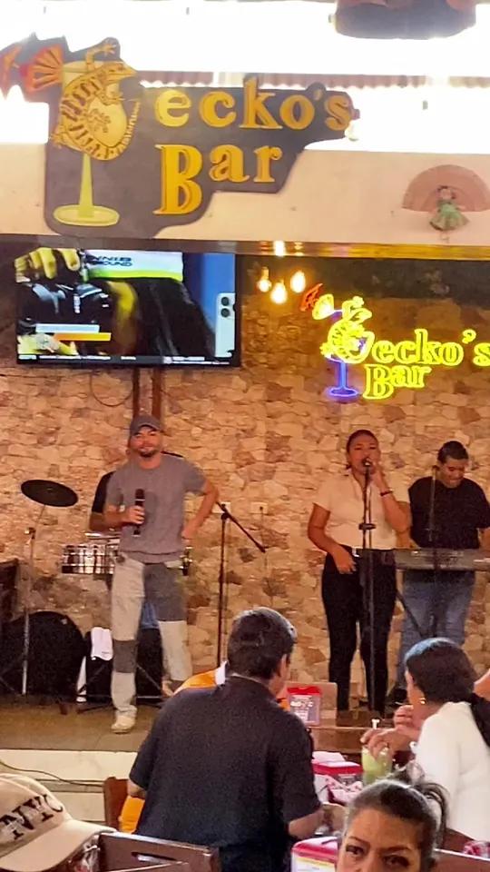 Video at Gecko's Grill & Pub - Palmer Crossing, Sarasota