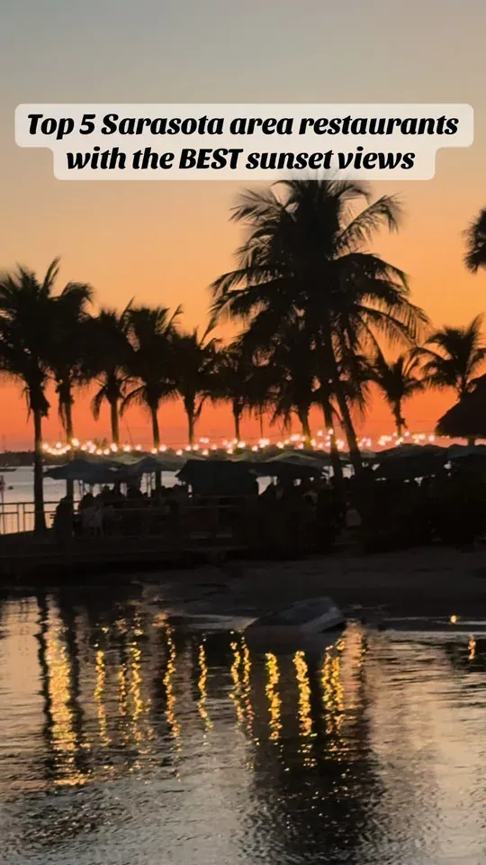 Video at Ophelia's on the Bay, Sarasota