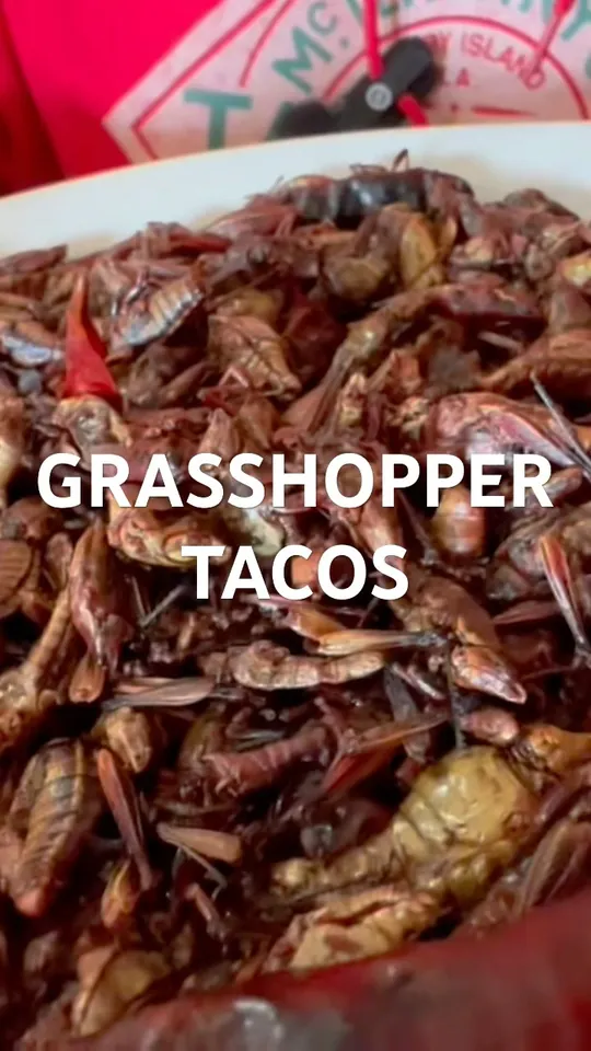Tacos at The Grasshopper Mexican Restaurant & Bar, Sarasota
