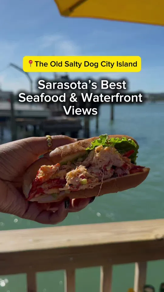 Video at The Old Salty Dog, Sarasota