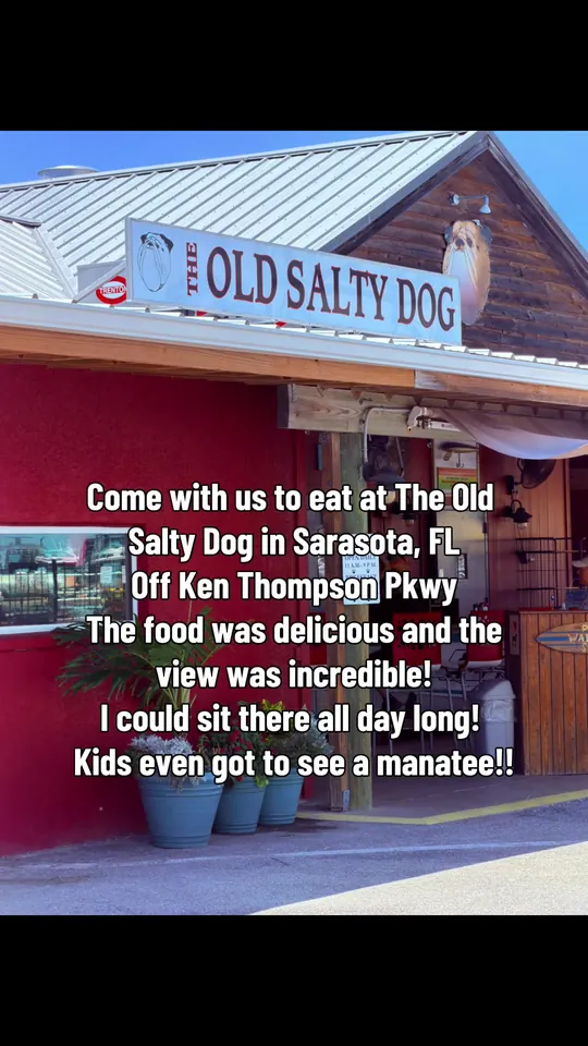 Video at The Old Salty Dog, Sarasota