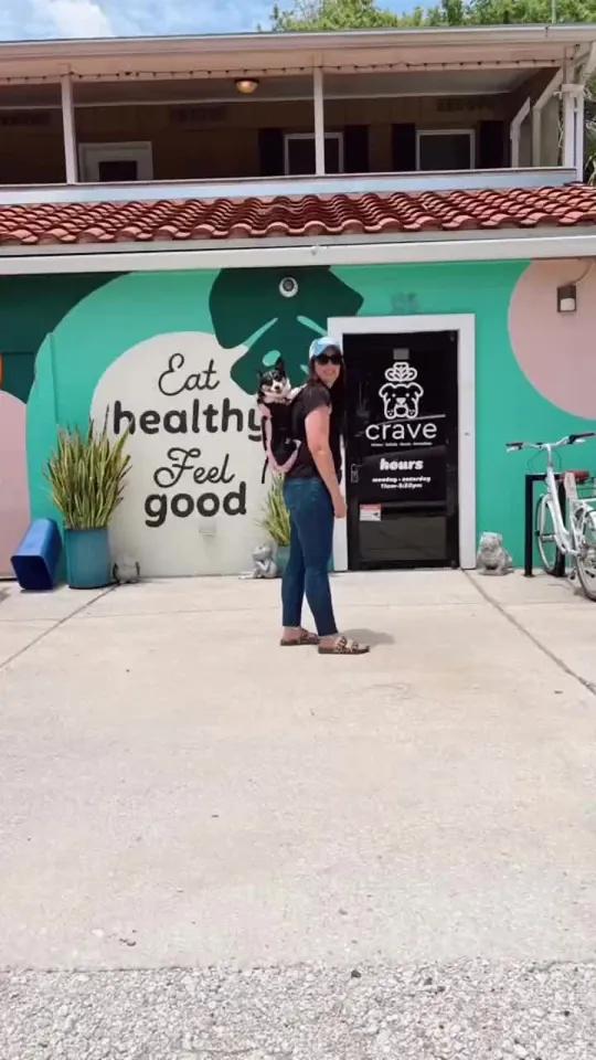 Video at Crave, St. Augustine