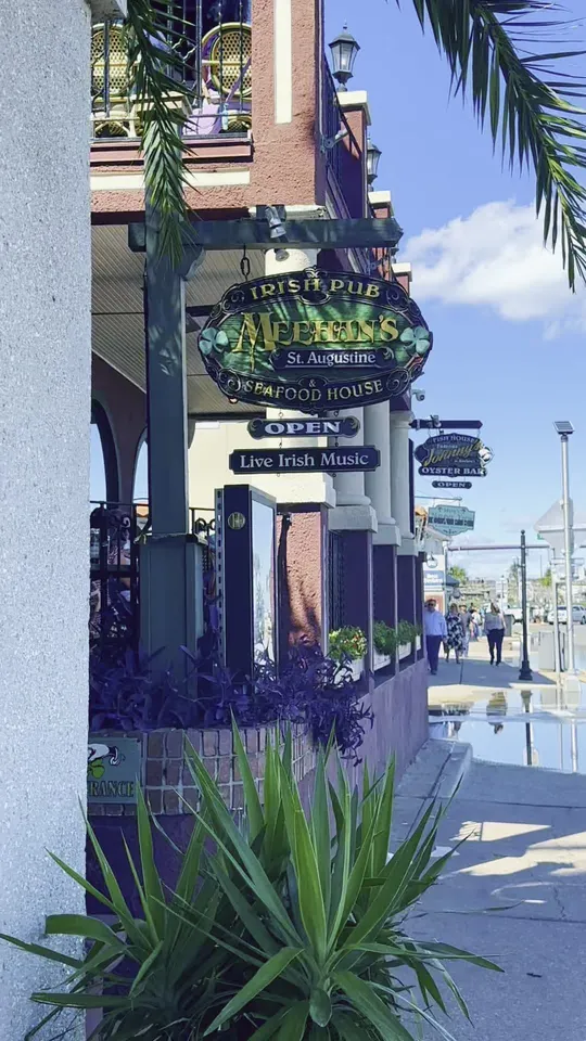 Fish and chips at Meehan's Irish Pub, St. Augustine – $22 on the menu