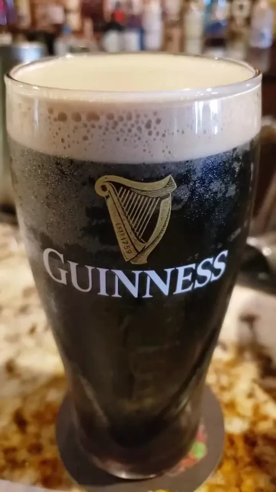 Oysters at Meehan's Irish Pub, St. Augustine – $17 on the menu