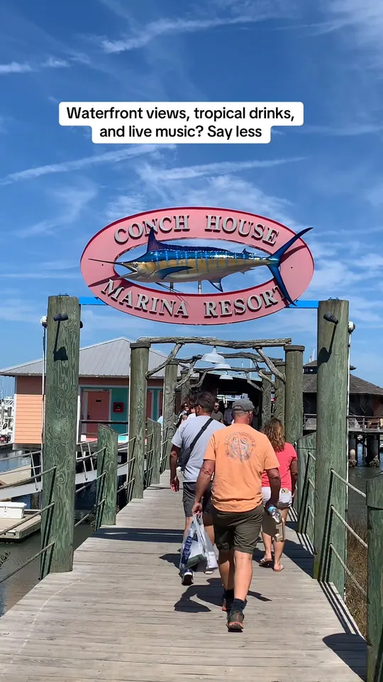 Video at The Conch House Restaurant, St. Augustine