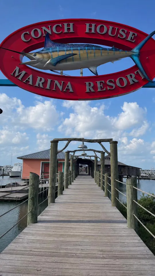 Video at The Conch House Restaurant, St. Augustine