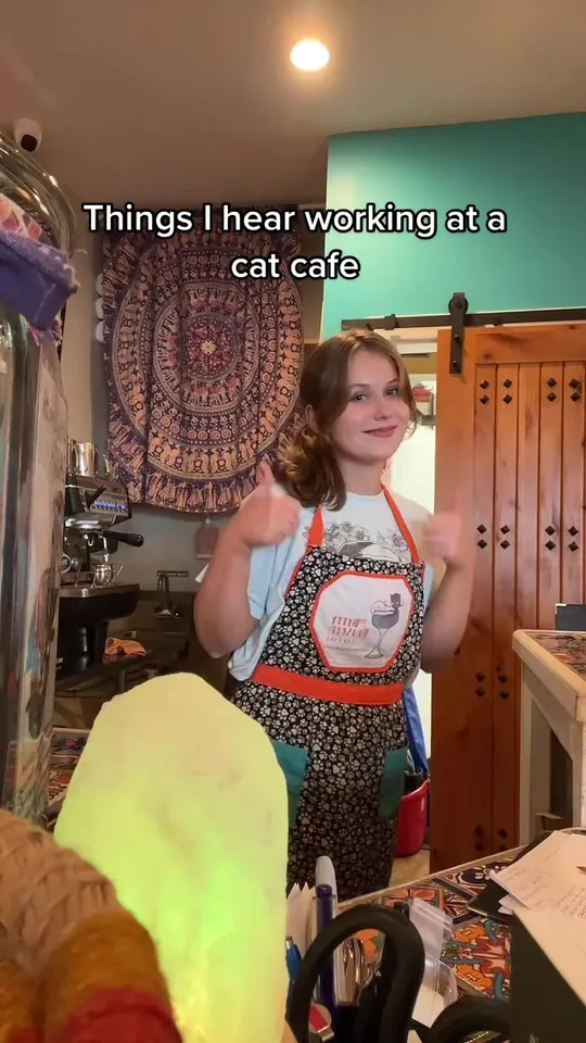 Video at The Witty Whisker Cat Cafe, St. Augustine