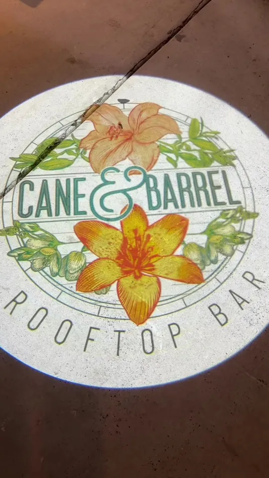 Fries at Cane & Barrel Rooftop Bar, St. Petersburg – $14 on the menu