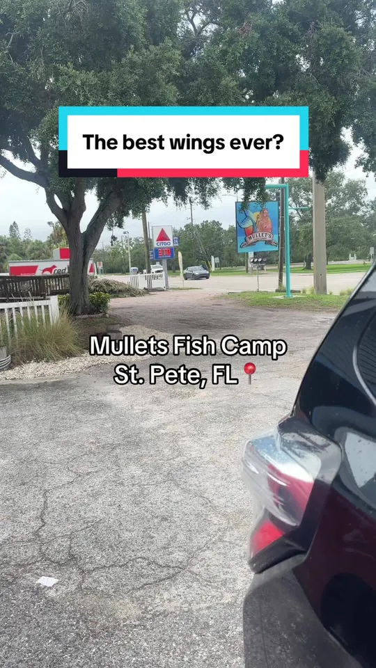 Wings at Mullet's Fish Camp, St. Petersburg