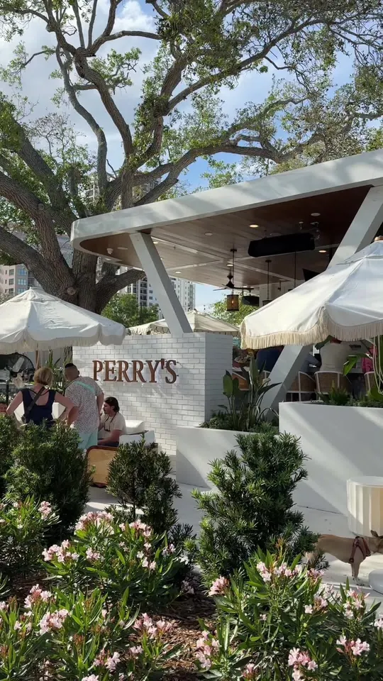 Video at Perry's Porch, St. Petersburg