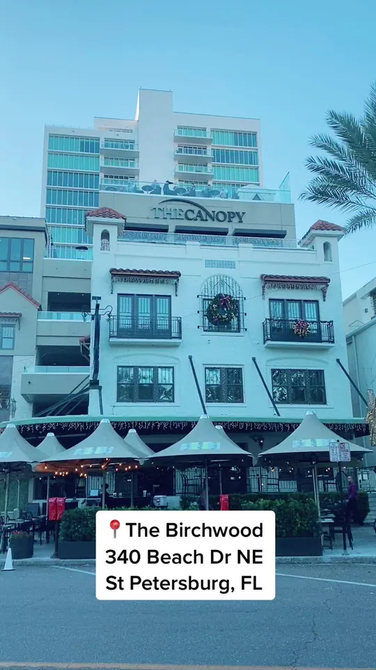 Video at The Birchwood Canopy, St. Petersburg