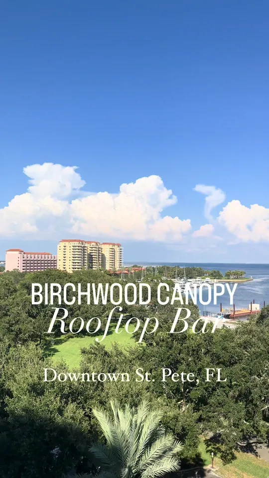 Cocktails at The Birchwood Canopy, St. Petersburg