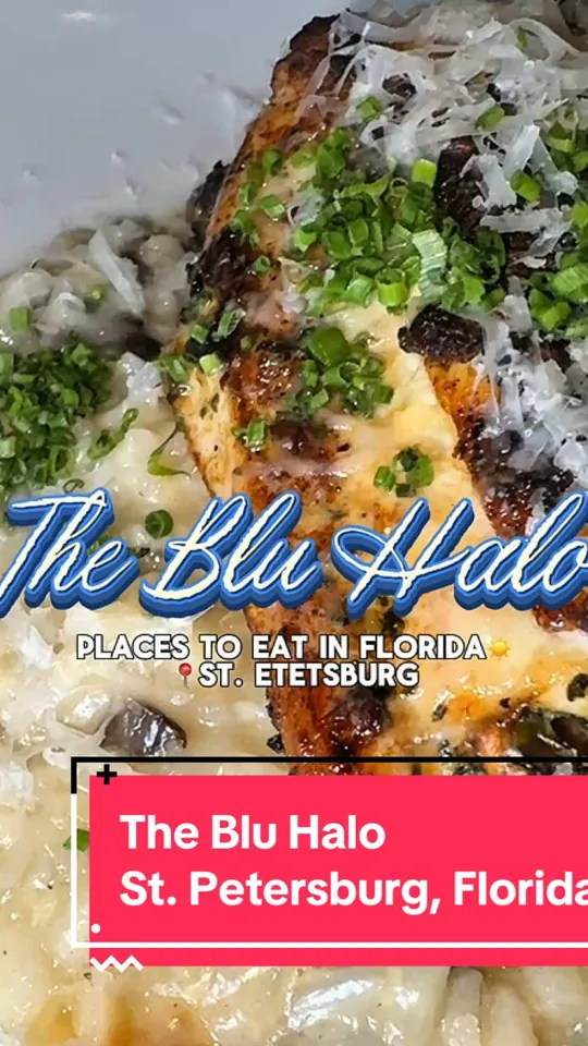 Chicken at The Blu Halo St Pete, St. Petersburg – $16 on the menu