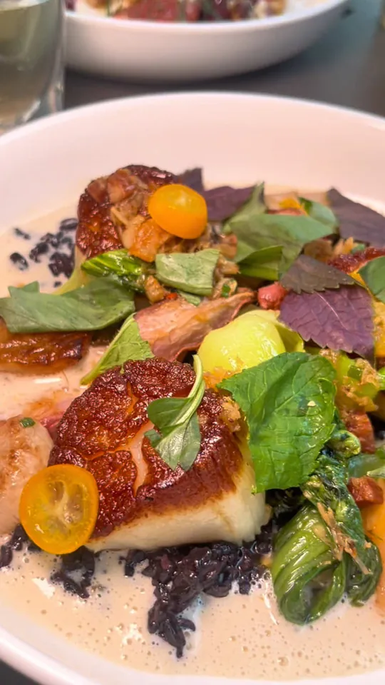 Grilled salmon at Wild Child, St. Petersburg