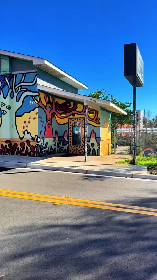 Video at The Bark, Tallahassee