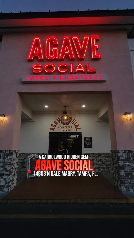 Video at Agave Social, Tampa