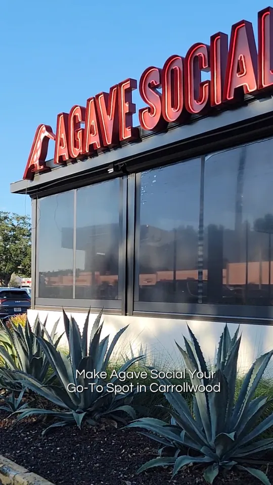 Video at Agave Social, Tampa