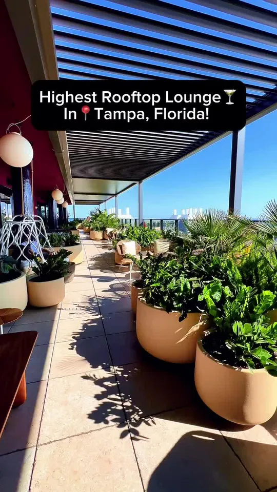 Cocktails at Beacon Tampa Rooftop Lounge, Tampa