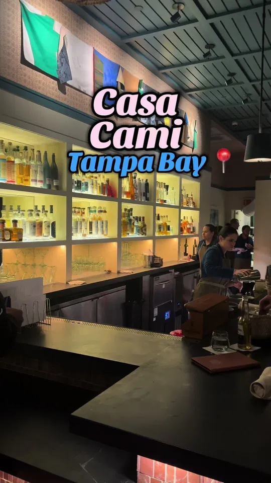 Video at Casa Cami, Tampa