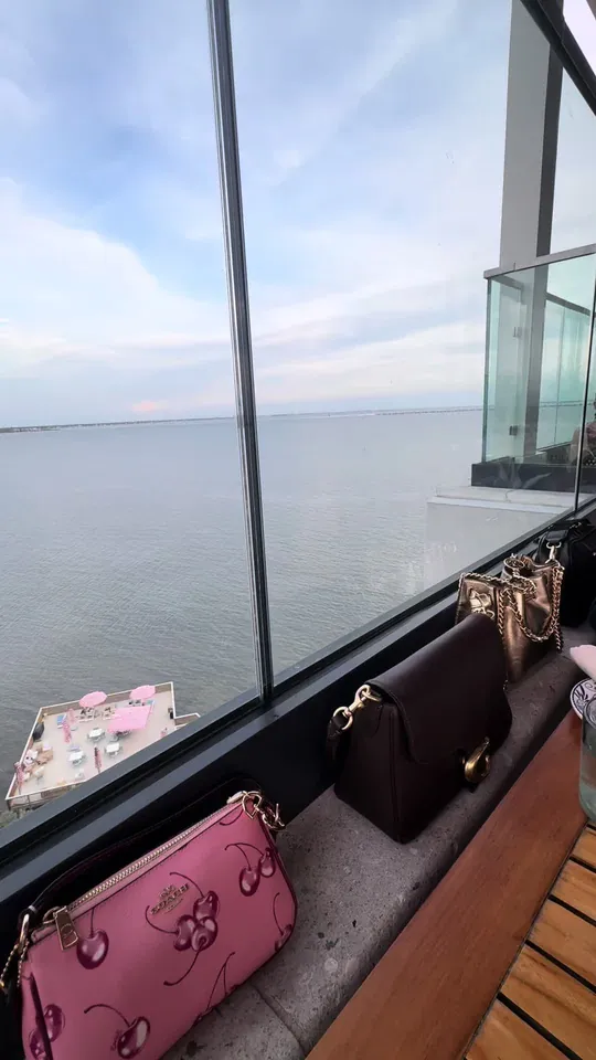 Video at Casa Cami, Tampa