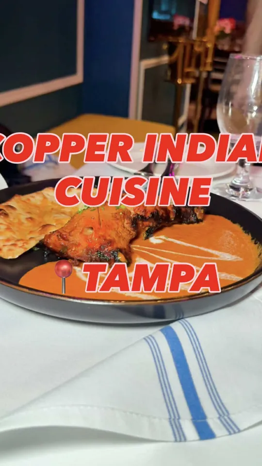 Video at Copper Indian Cuisine, Tampa