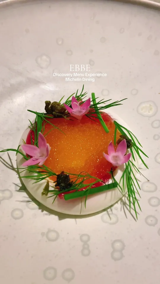 Video at Ebbe, Tampa