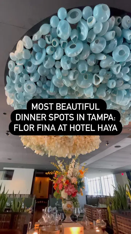 Video at Flor Fina, Tampa