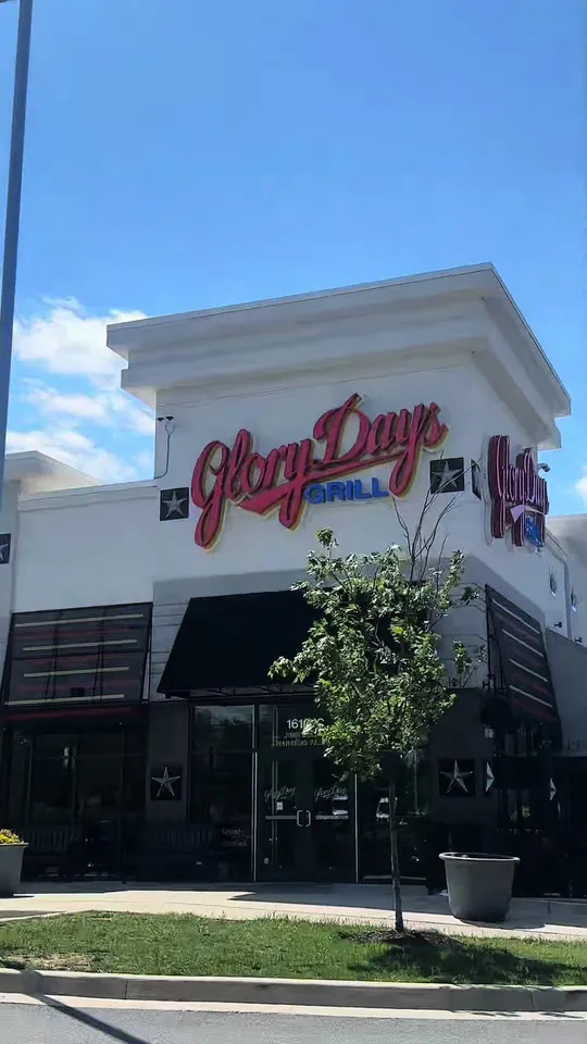 Baby back ribs at Glory Days Grill, Tampa