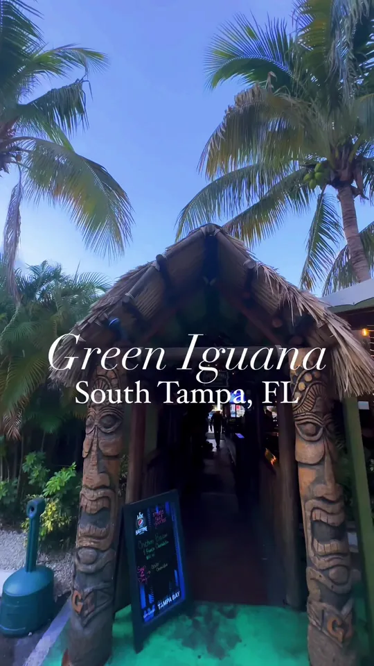 Video at Green Iguana Bar & Grill, Tampa