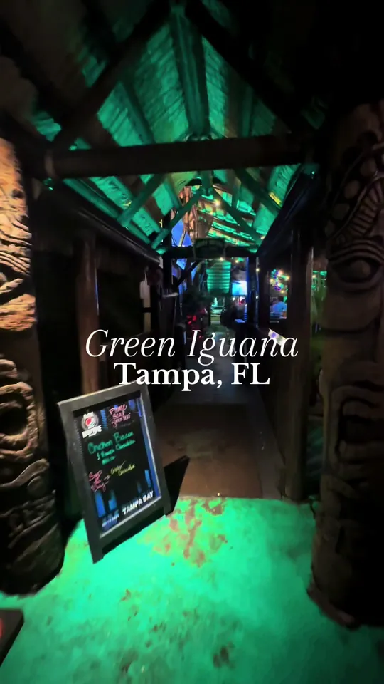Video at Green Iguana Bar & Grill, Tampa