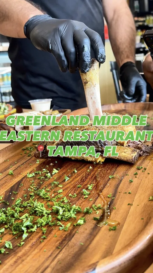 Falafel at Greenland Restaurant at Busch, Tampa