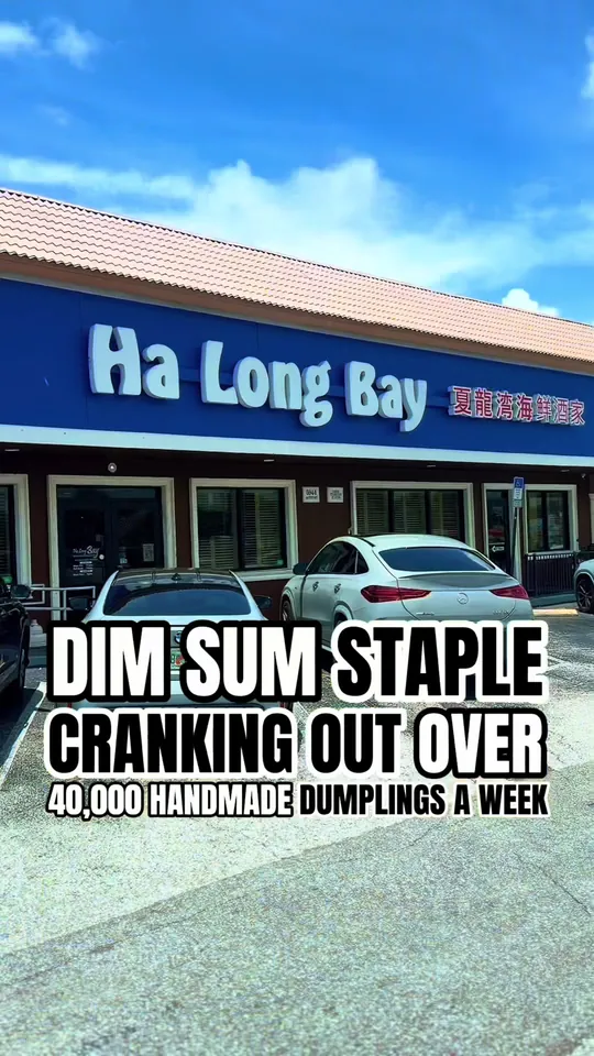 Dim sum at Ha Long Bay New Tampa, Tampa