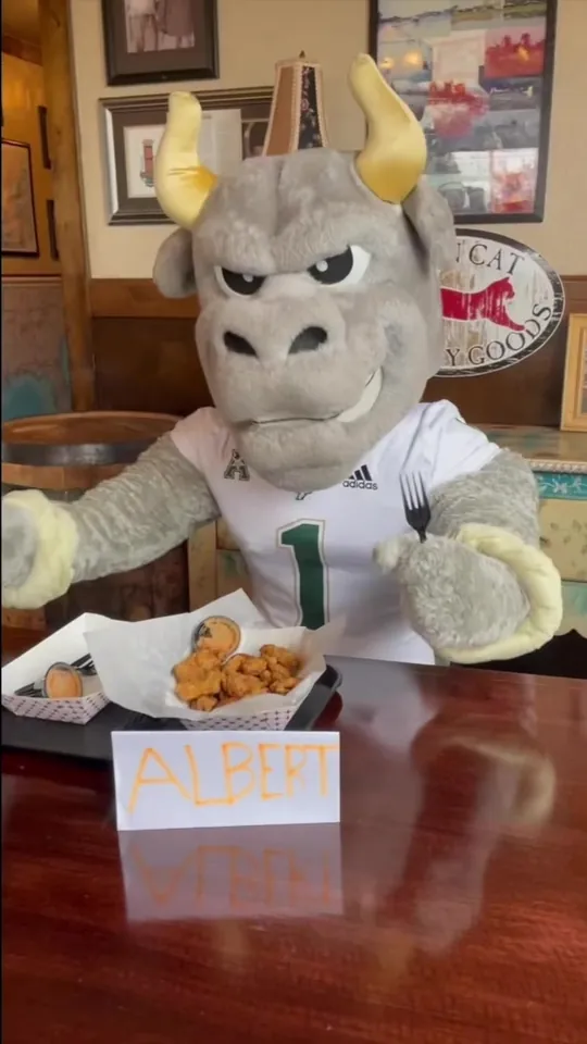 Video at Hank's Catfish & BBQ, Tampa