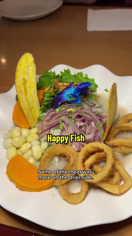 Video at Happy Fish, Tampa